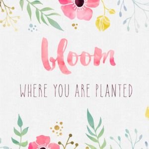 Meet your Posher, Blessing